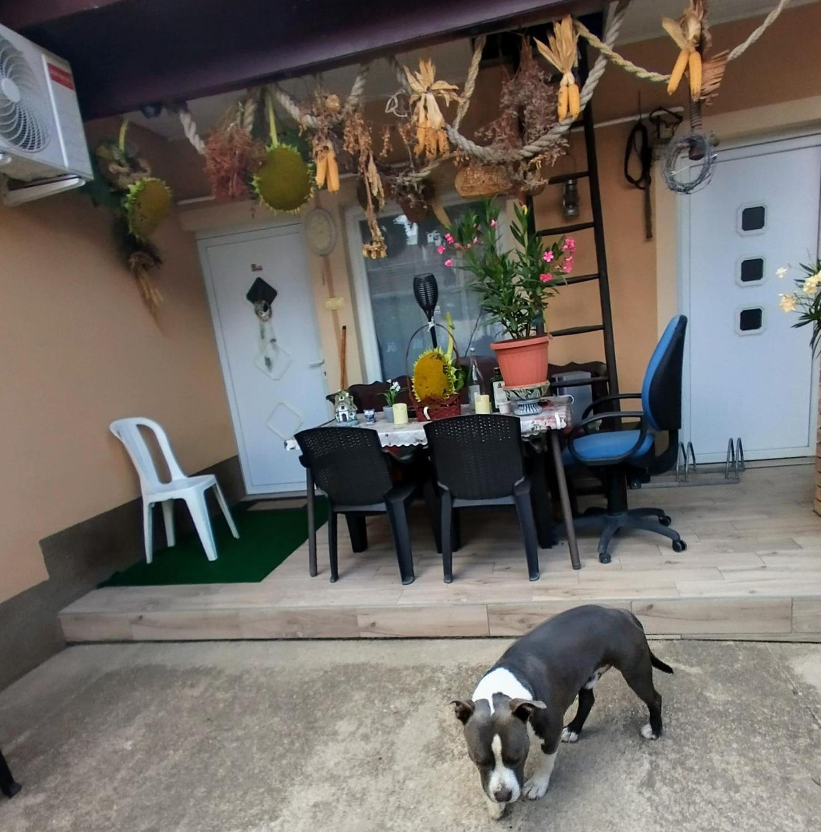 Bundik Vendeghaz Apartment Berettyoujfalu Ngoại thất bức ảnh
